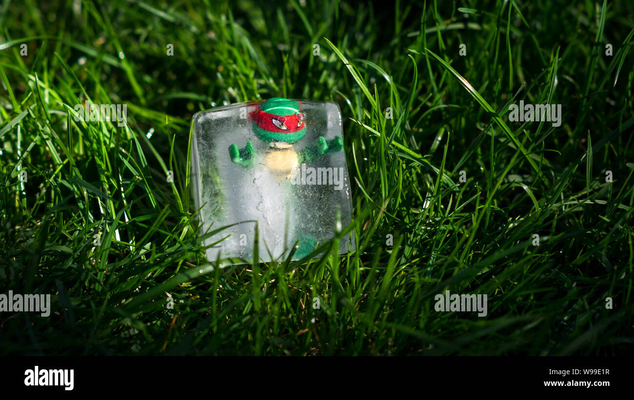 Ninja Turtle trapped in Ice Cube, melting in the sun Stock Photo