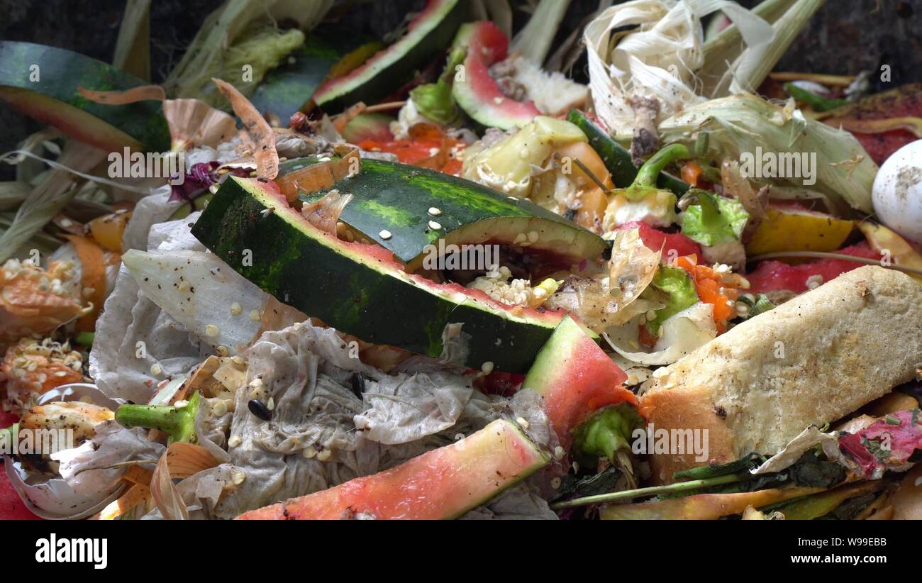 compost heap. Household organic trash. Reduce waste. Composting piles