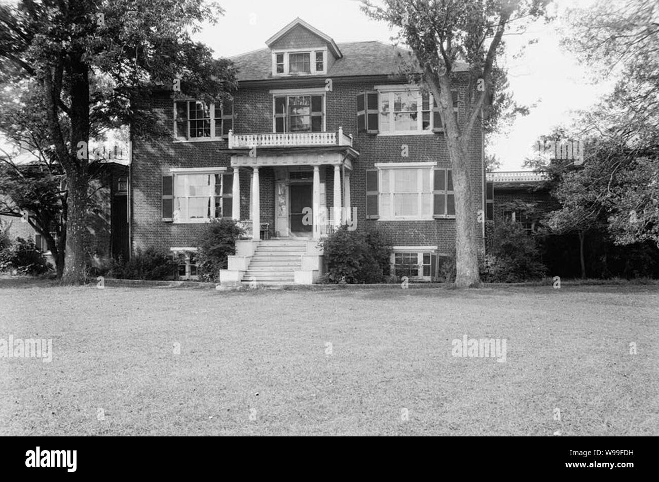 Dewberry, Little River vicinity, Gum Tree vicinity (Hanover County