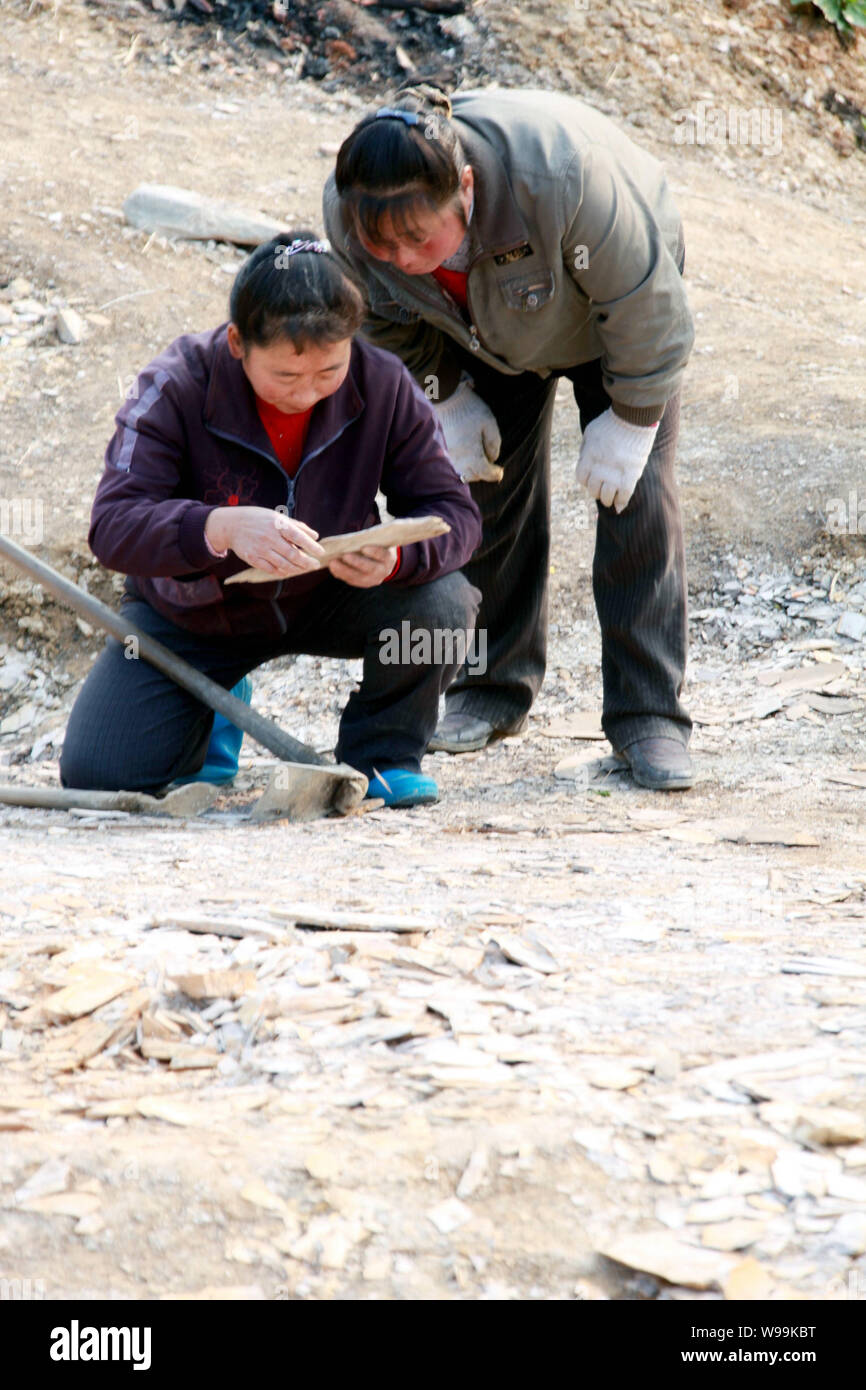 Chinese paleontologists check a plant fossil in Xiuning county, Huangshan city, east Chinas Anhui Province, February 18, 2011.   Paleontologists in Ch Stock Photo