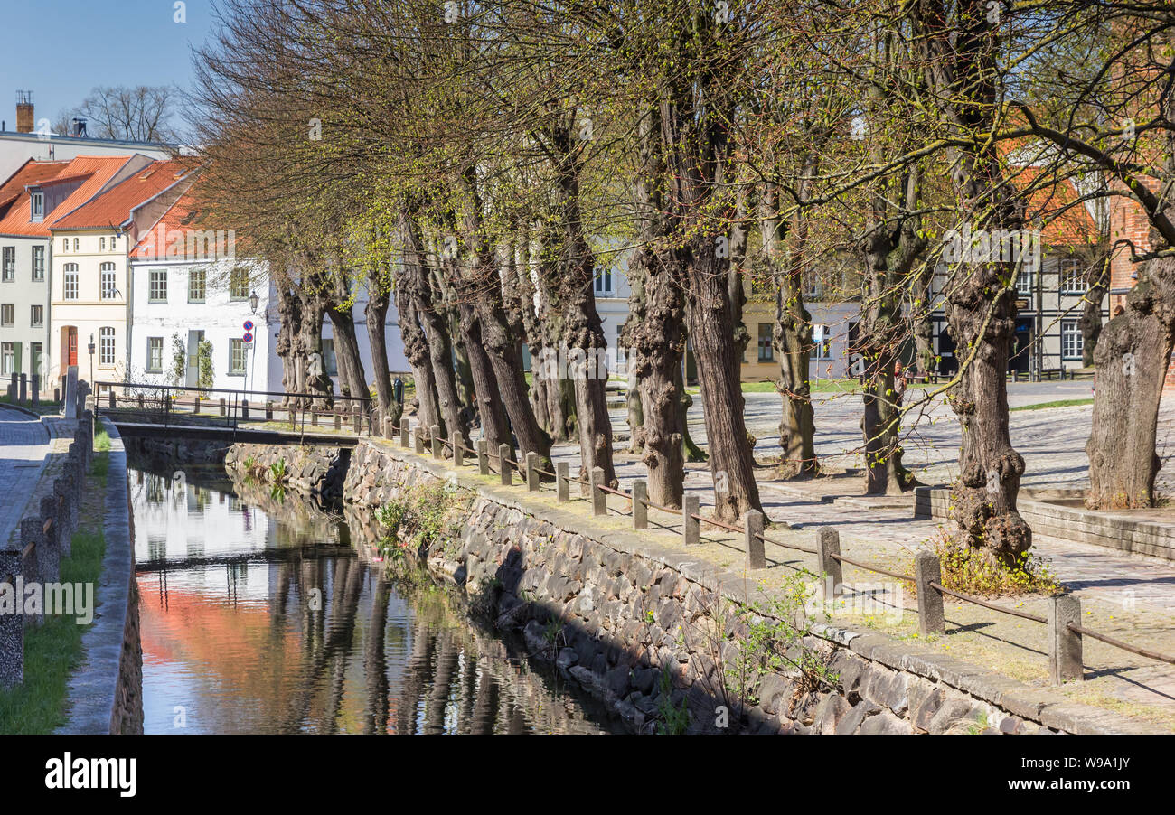 Trees along the canal in Wismar, Germany Stock Photo