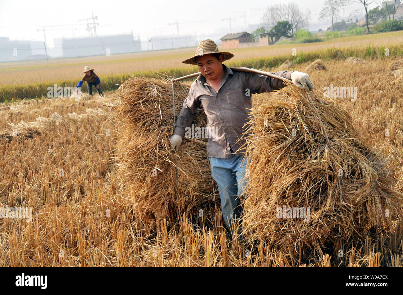 File Harvest Town