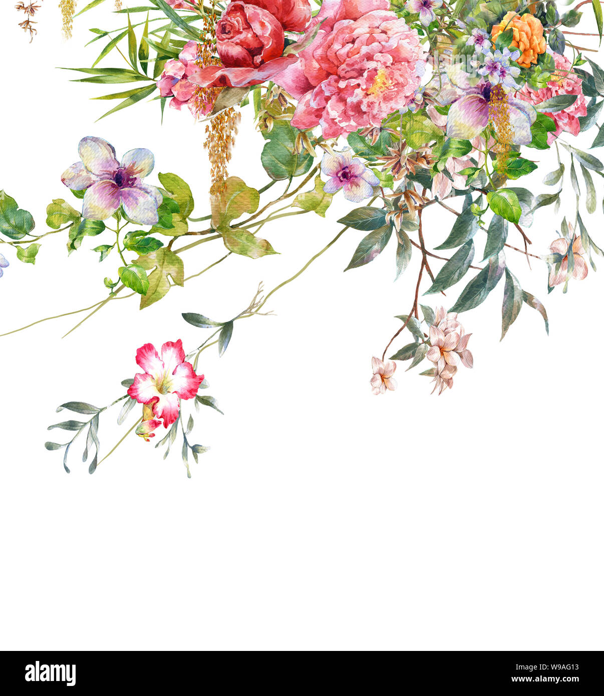 watercolor painting of leaves and flower, on white background Stock ...