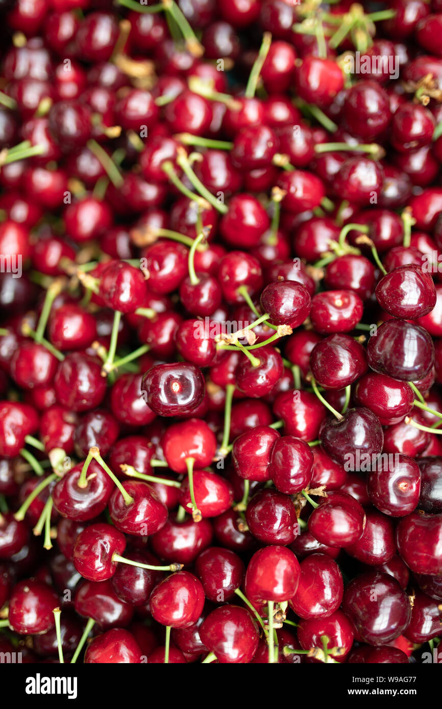 Close up of pile of ripe cherries with stalks and leaves Stock Photo ...