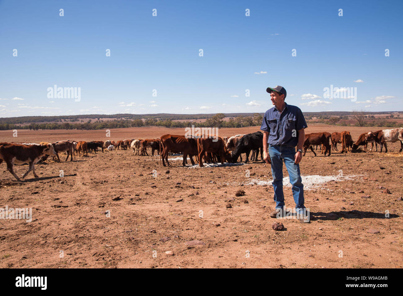 Australian Drought.  Picture shows farmer Greg Jerry on his drought-stricken property in Coonabarabran, New South Wales Stock Photo