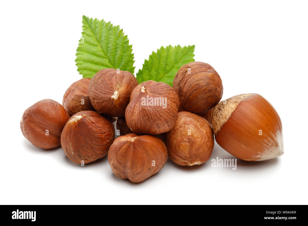 Hazelnuts and leaves isolated on white background Stock Photo