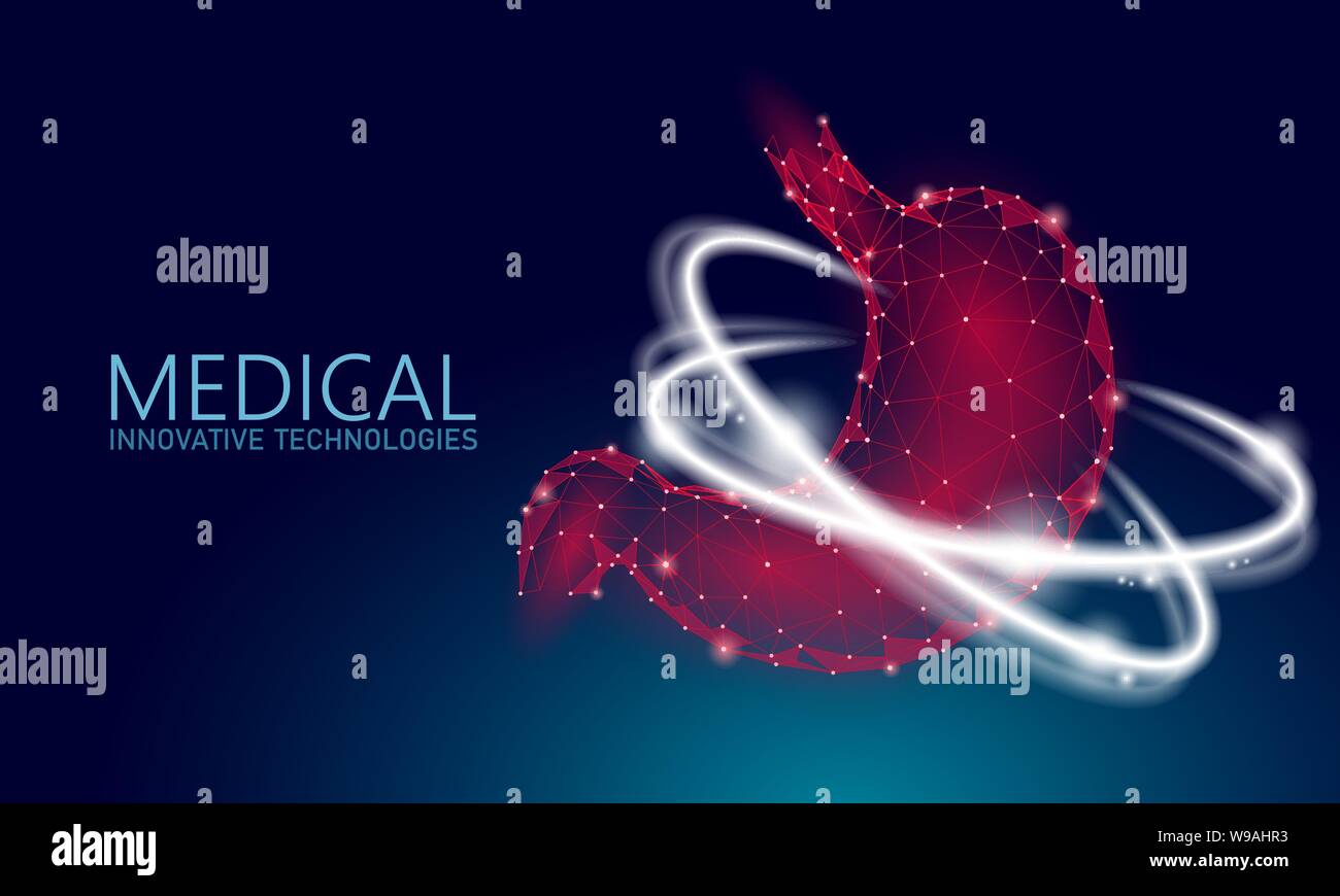 Human Healthy Stomach Recovery System Medicine Concept 3d Low