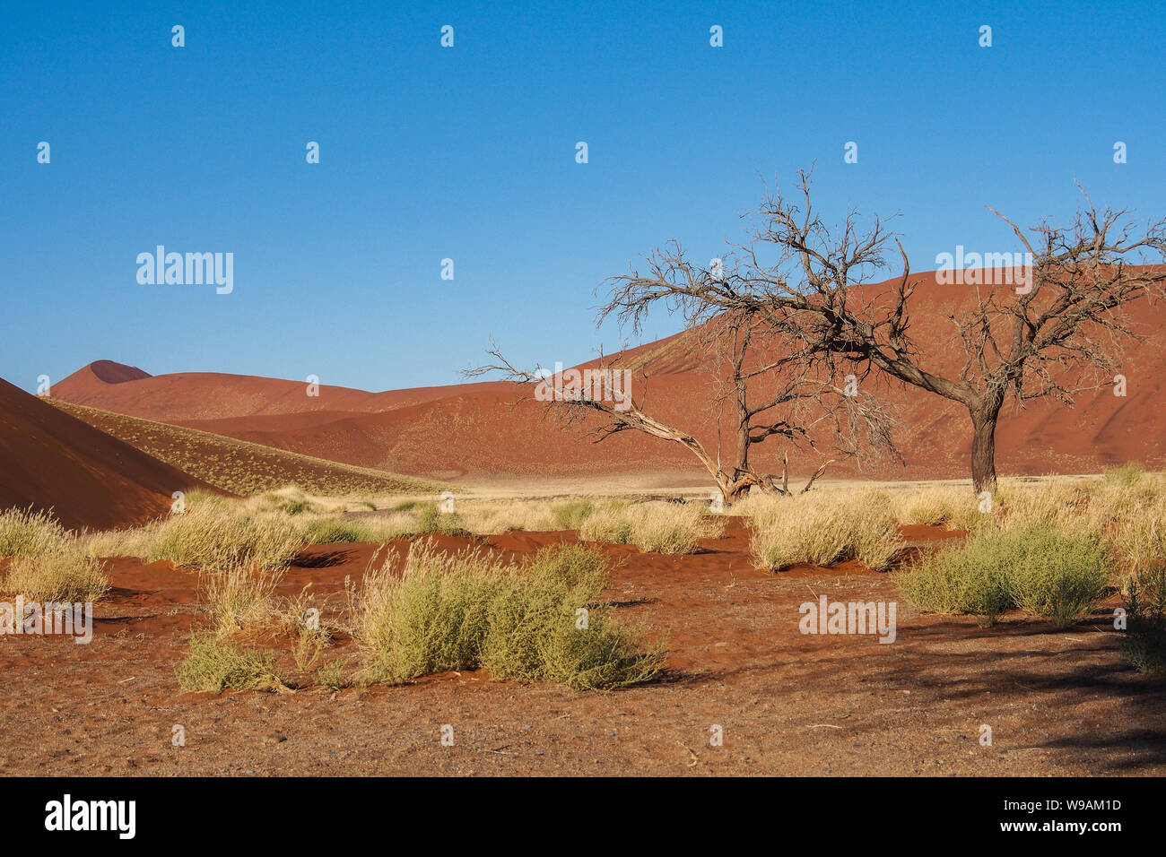 Amazing View of the dunes Sossusvlei. Namib Naukluft National Park ...