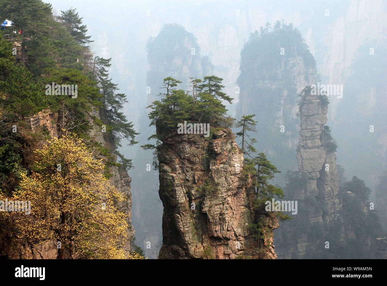 Терпи гора. Долина аватар Китай. Хребе гоайи в провинции Хунань фото.