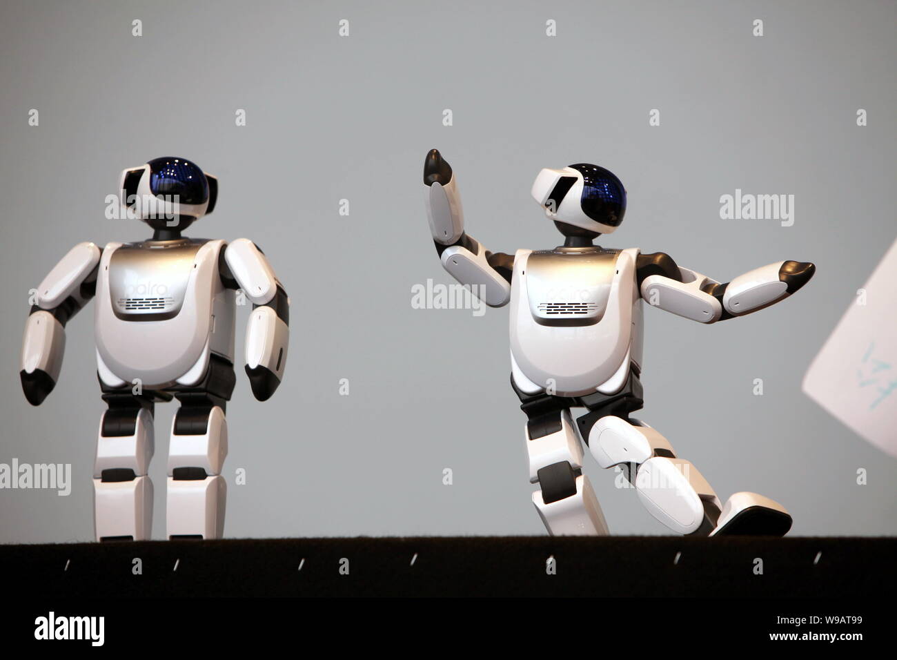 Mini humanoid robots Palro perform sumo wrestling at the Japanese Industry  Pavilion in the Expo site in Shanghai, China, June 23, 2010. Palro, measu  Stock Photo - Alamy