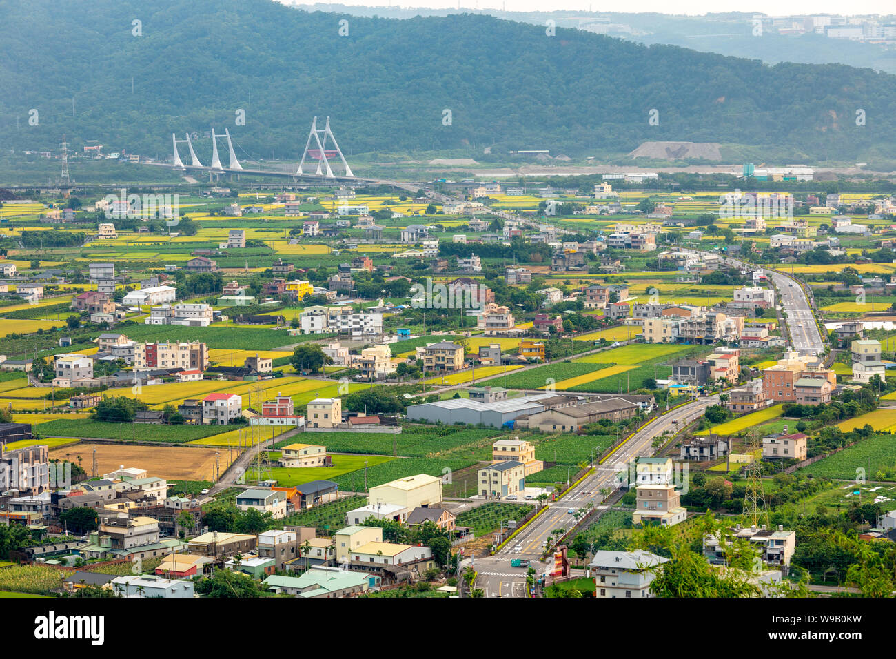 Beautiful landscape of rice farm in Miaoli, Taiwan Stock Photo