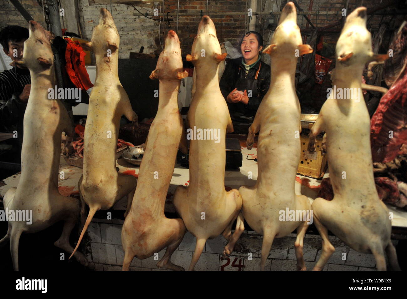 --FILE--Chinese vendors sell dog meat at a food market in Guiyang city, southwest Chinas Guizhou province, 16 December 2009.   A proposed draft of Chi Stock Photo