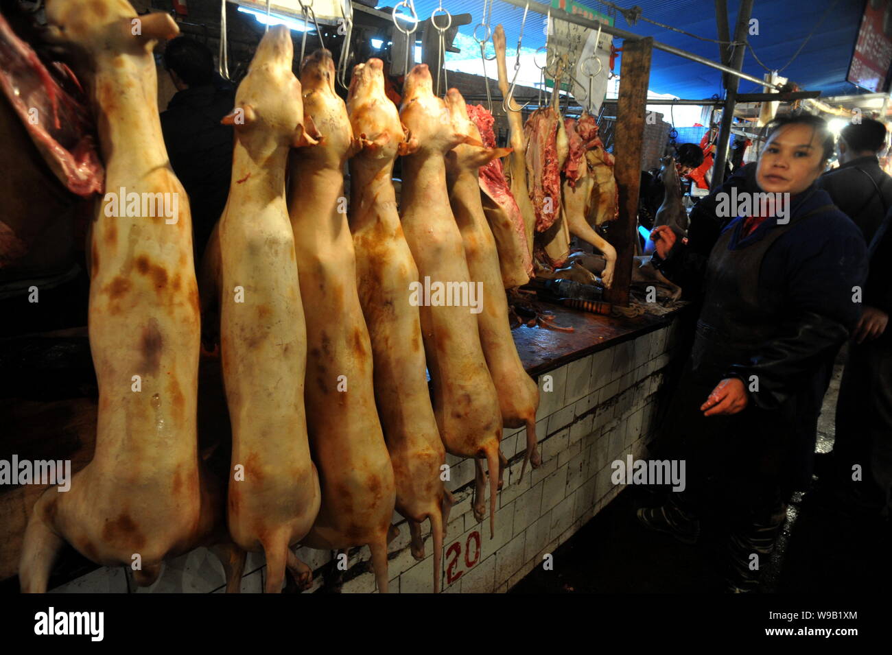 --FILE--Chinese vendors sell dog meat at a food market in Guiyang city, southwest Chinas Guizhou province, 16 December 2009.   A proposed draft of Chi Stock Photo