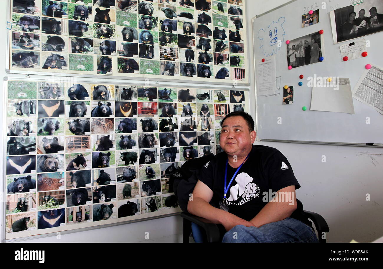 A Chinese bear raiser sits in front of photos of bears at a bear rescue center in Chengdu city, southwest Chinas Sichuan province, 27 April 2010.   Ji Stock Photo
