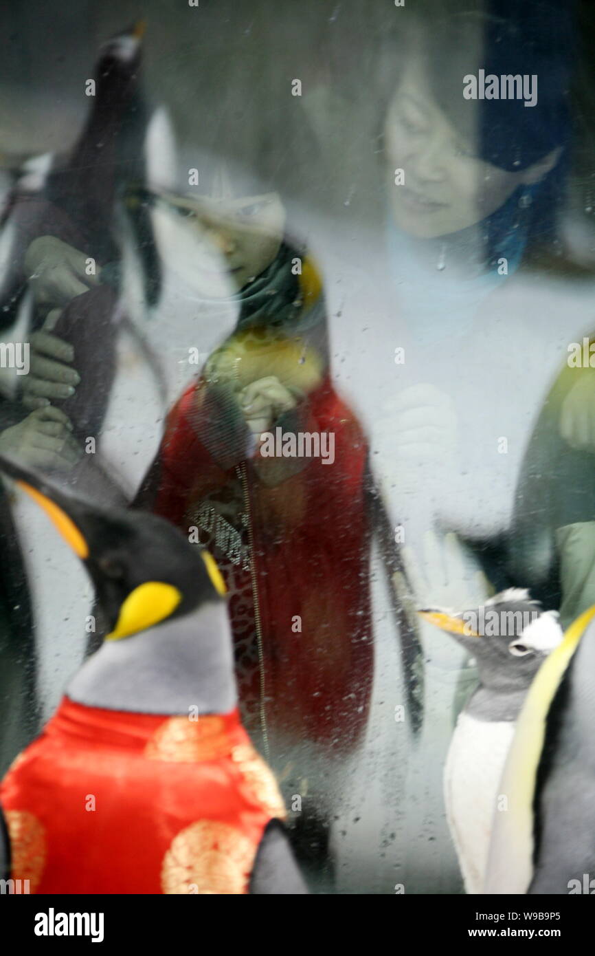 Penguins in Tang Suit show on Harbin Central Street - Xinhua