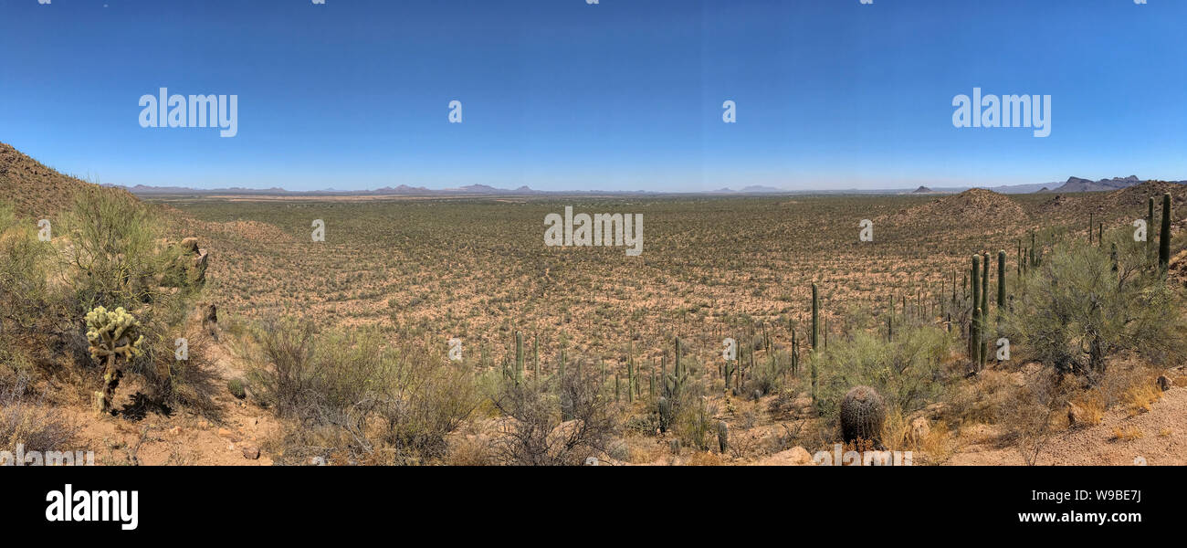 Avra Valley, Arizona panorama featuring cactus plants Stock Photo Alamy