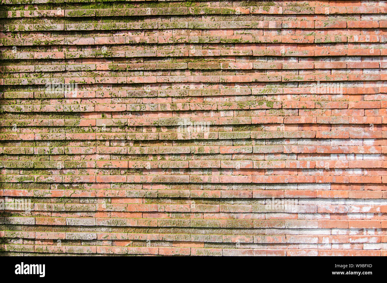 mossy brick wall with white stain Stock Photo Alamy