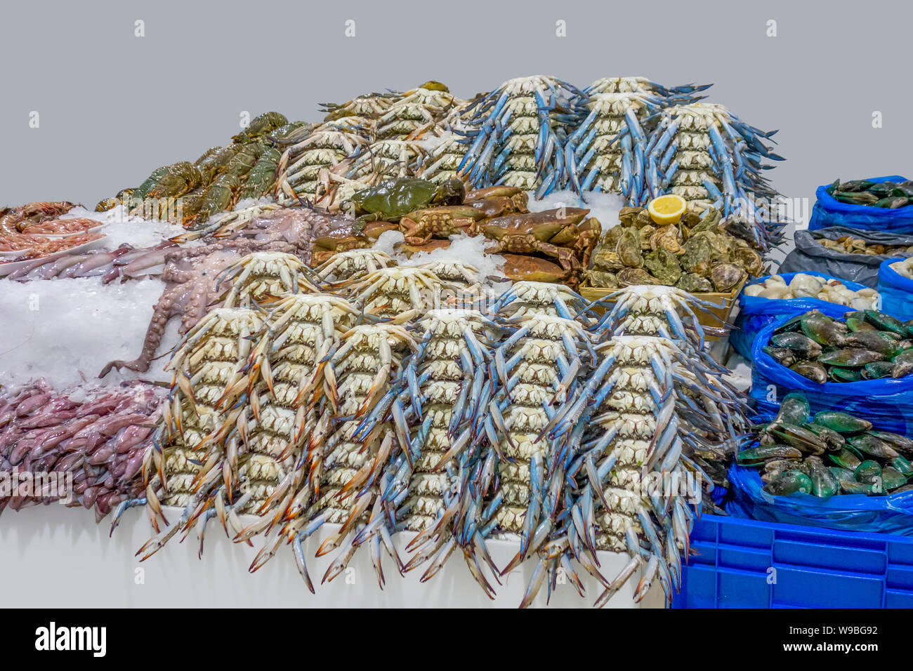 lots of seafood seen at a market in Dubai Stock Photo Alamy