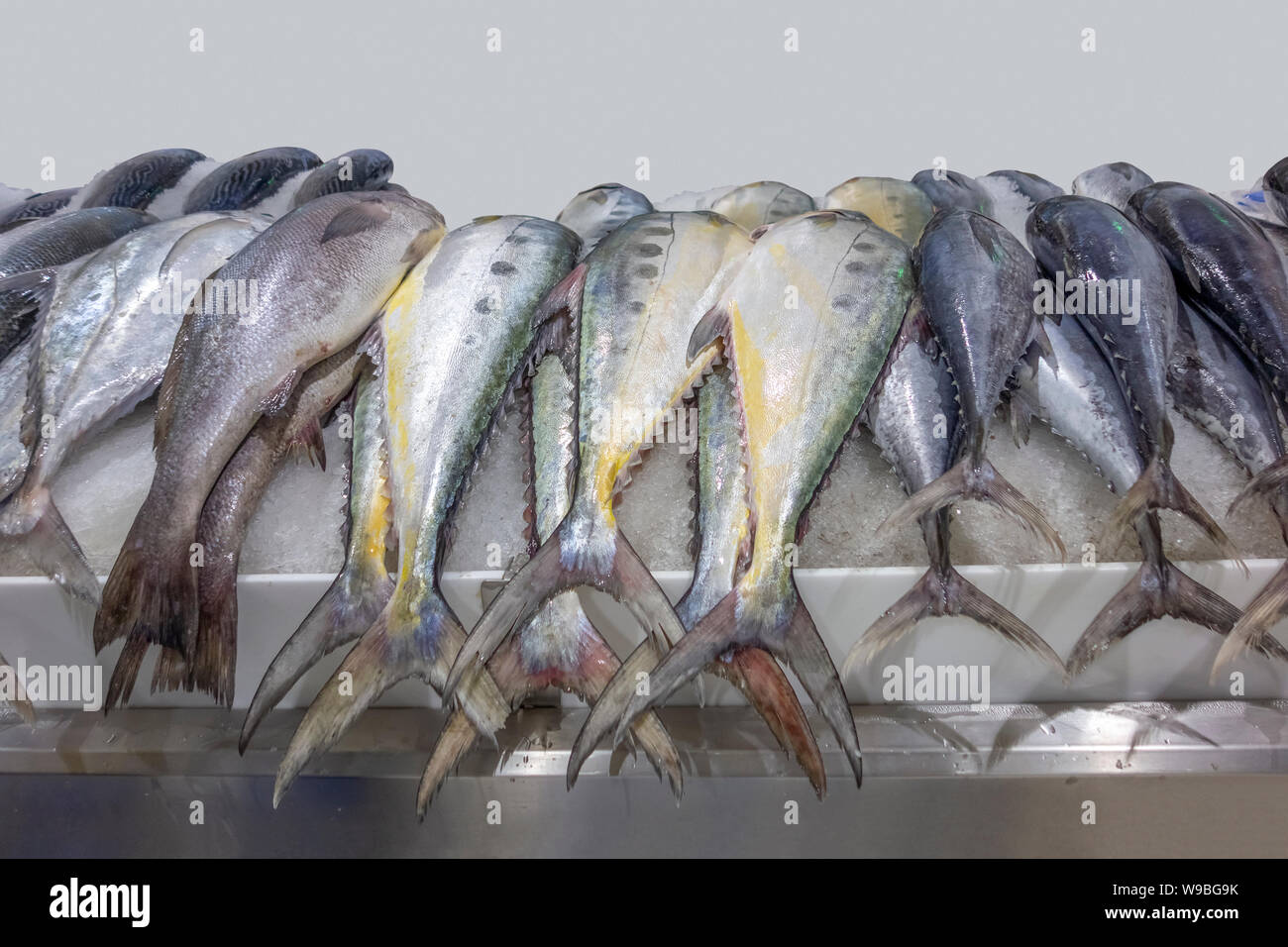 lots of seafood seen at a market in Dubai Stock Photo Alamy