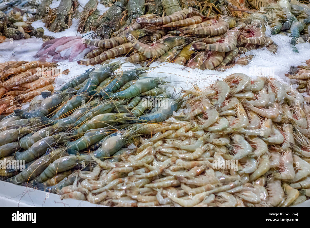 lots of seafood seen at a market in Dubai Stock Photo Alamy