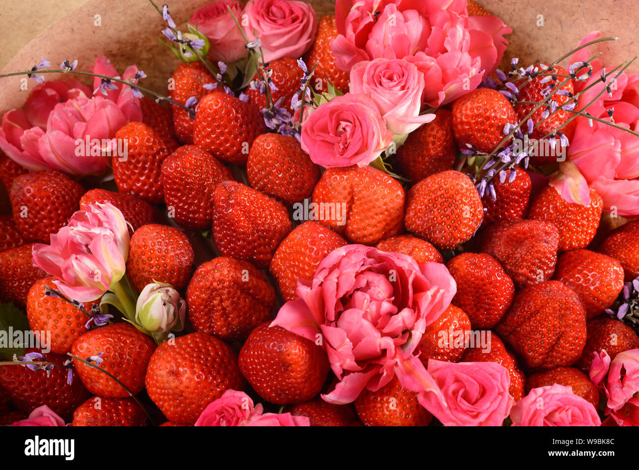 Pink strawberry blossom hi-res stock photography and images - Alamy