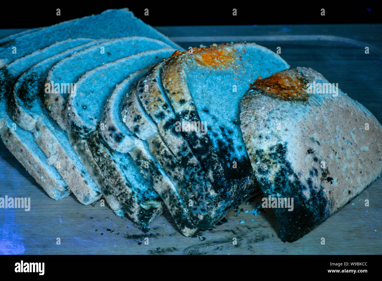 Mould hi-res stock photography and images - Alamy