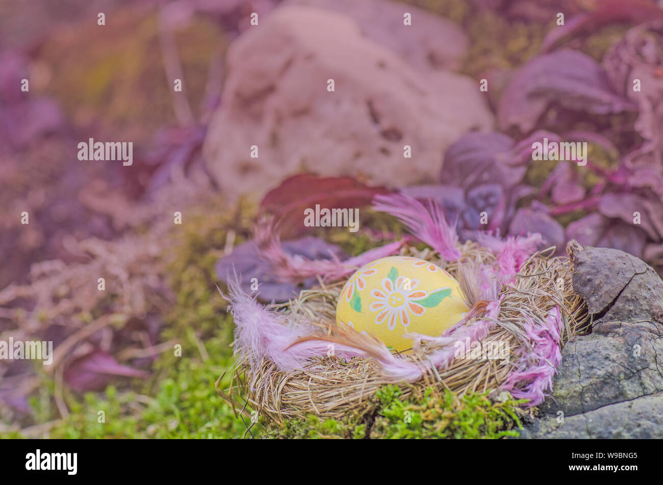 Easter background with yellow eggs in nest out of doors Stock Photo - Alamy