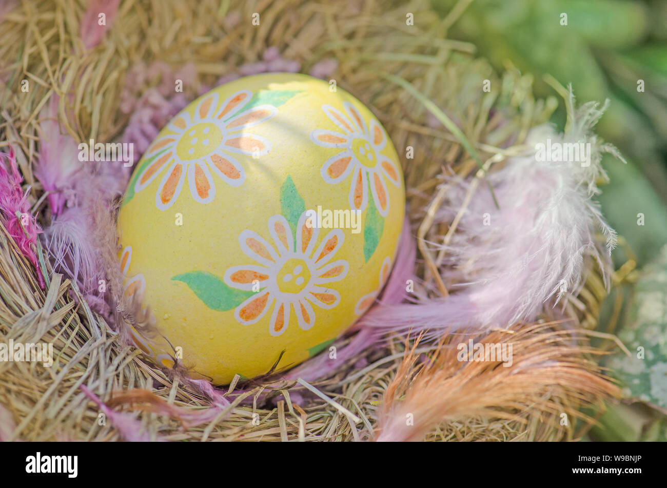Easter background with yellow eggs in nest out of doors Stock Photo - Alamy