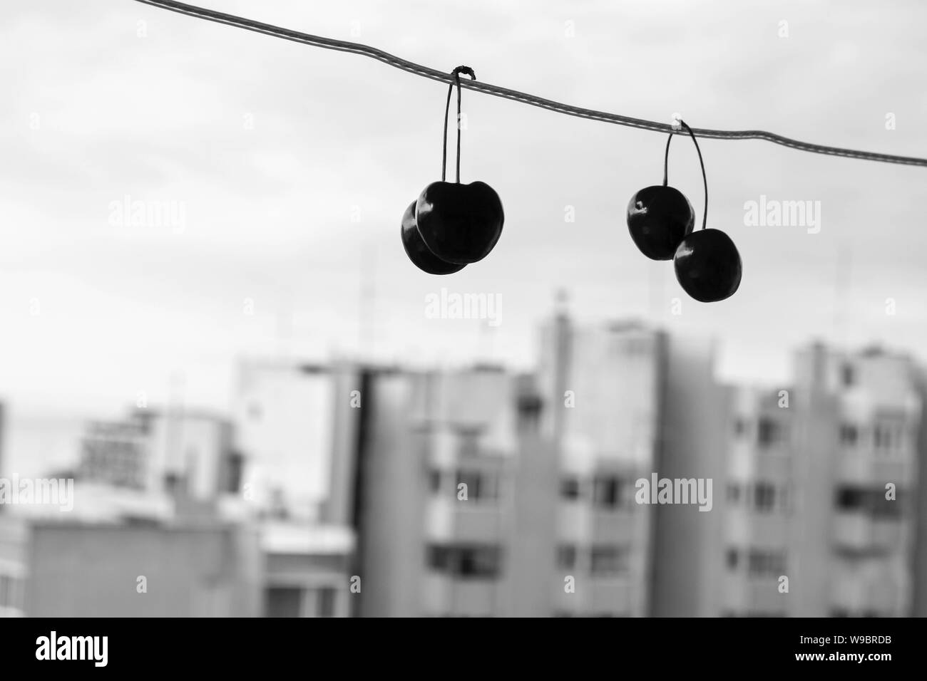 Ripe fresh cherries fruit hanging at clothes line under the sky whit town building in background/ still life Stock Photo