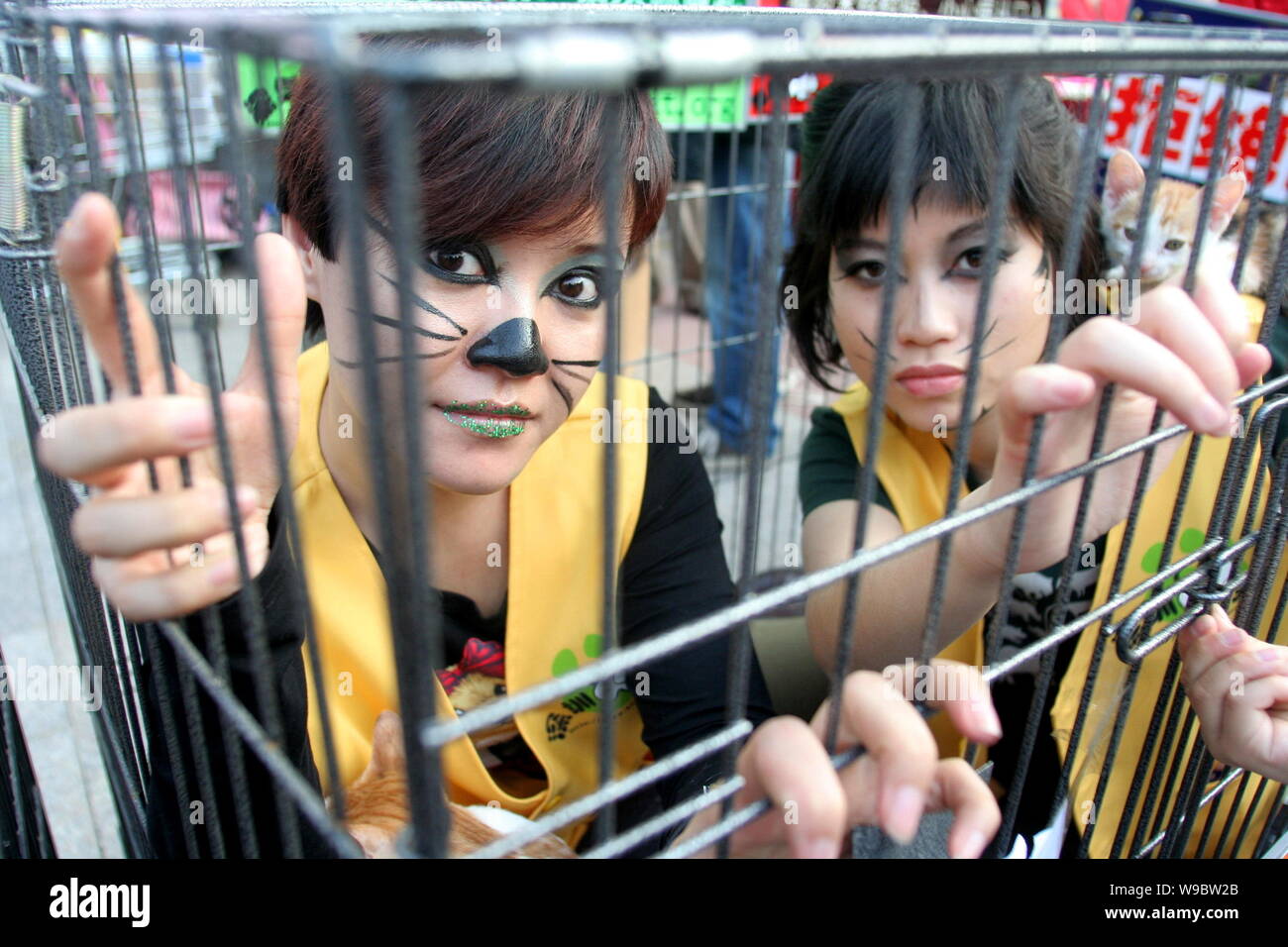 Two Chinese women with cat face makeup are seen with cats in a cage ...