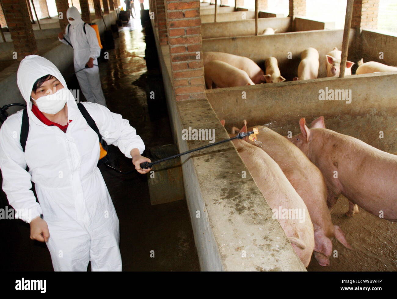 Disinfect farm hires stock photography and images Alamy