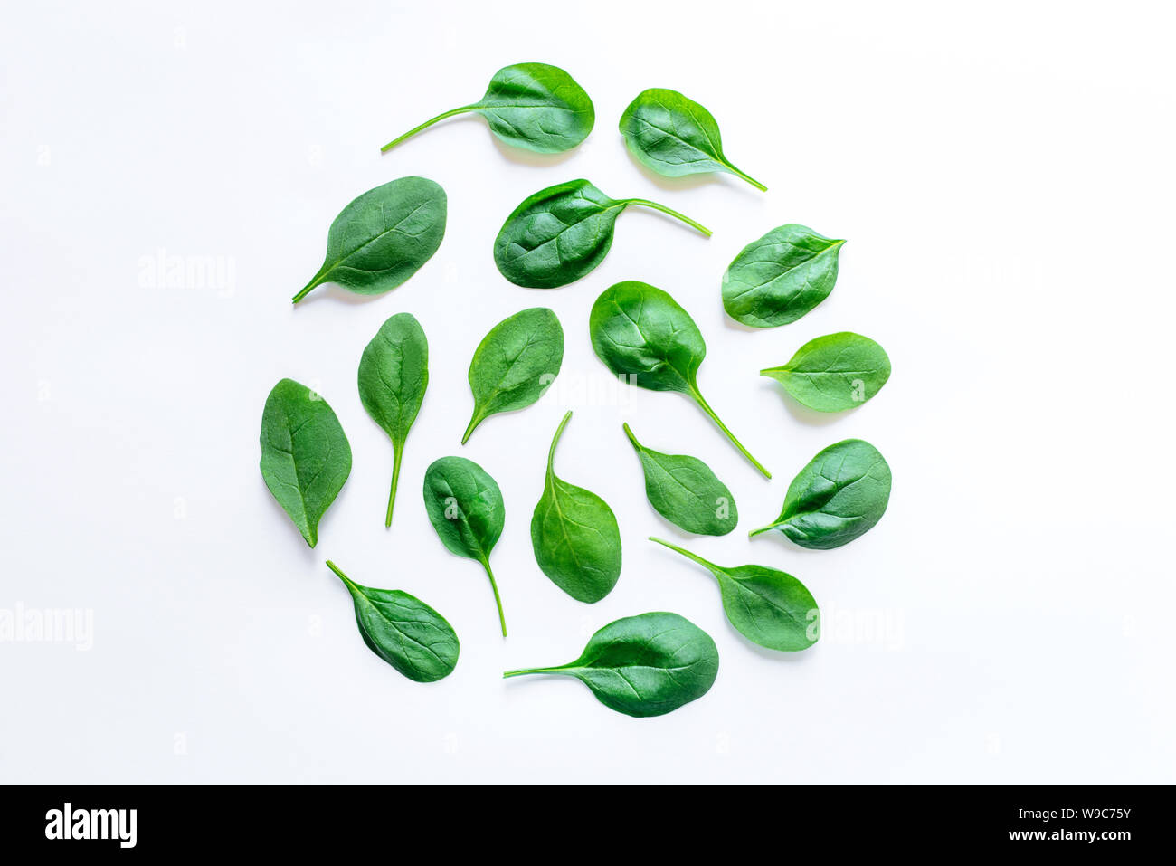 The pattern of spinach leaves on a white background Stock Photo - Alamy