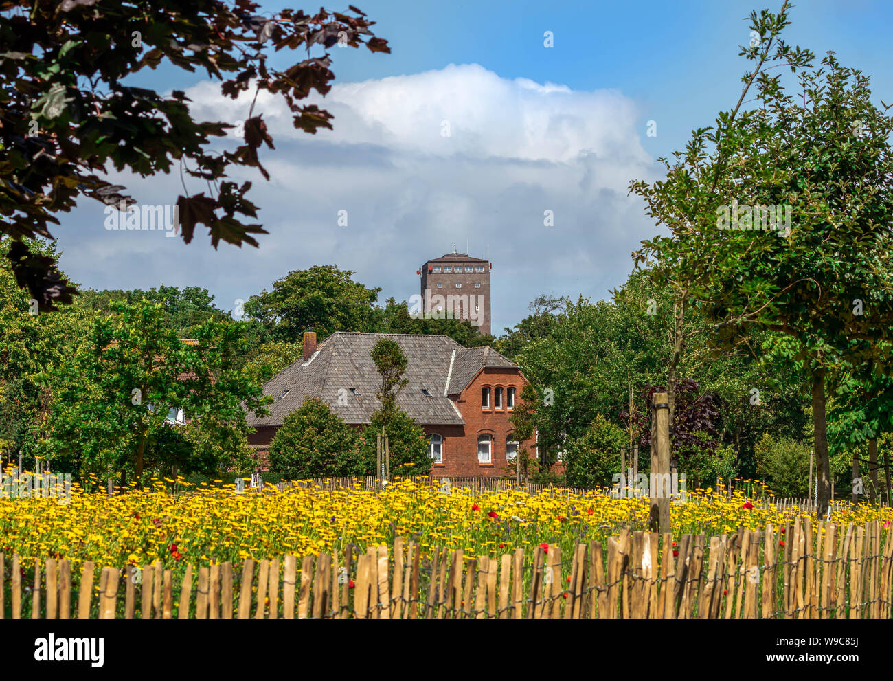 flower field with water tower in norderney, travel island Wattenmeer germany Stock Photo