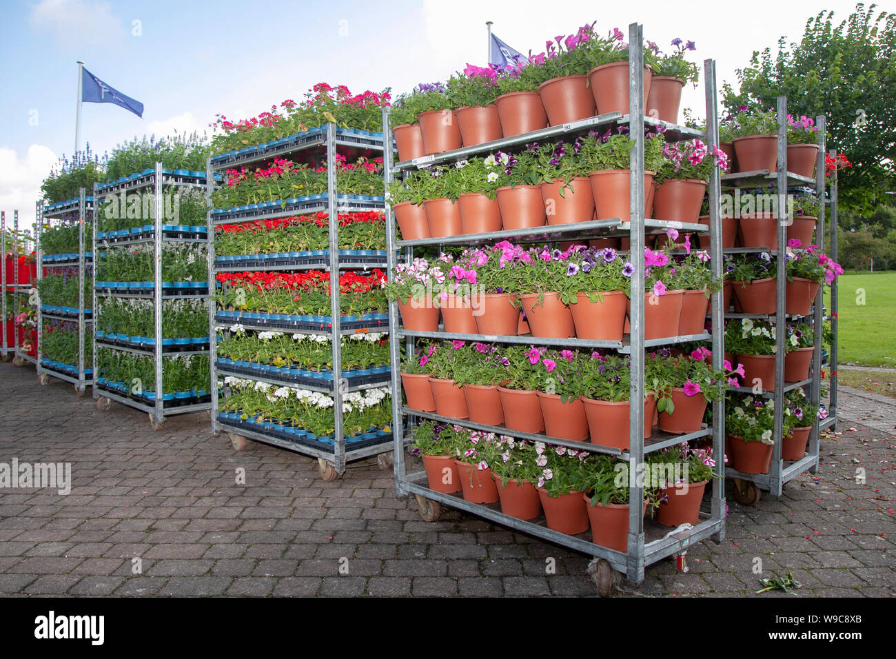 Wholesale Potted garden centre plants, shrubs & flowers on trolley;  Horticultural industry, greenhouse mesh wire plant nursery Danish cart  flower display dutch trolleys full of flowering plants for Southport Flower  Show, 2019