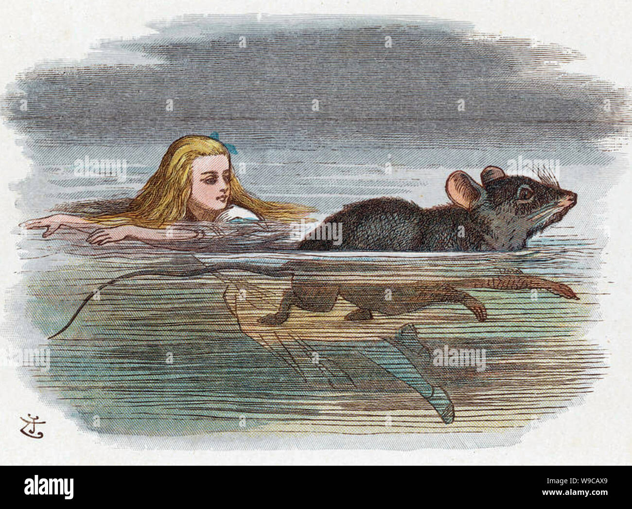 ALICE'S ADVENTURES IN WONDERLAND - Chapter 2. The mouse with Alice in the  Pool of Tears engraved by John Tenniel for the first edition in 1865 Stock  Photo - Alamy
