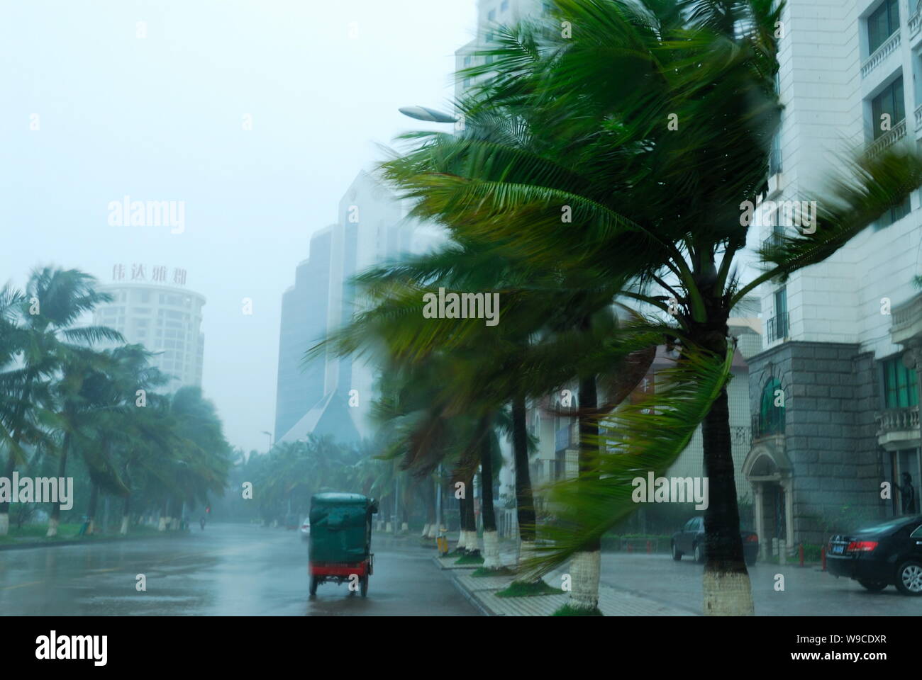 Heavy rain and big wind caused by Typhoon Parma are seen in Haikou city, south Chinas Hainan province, Monday, 12 October 2009.   Chinas central obser Stock Photo