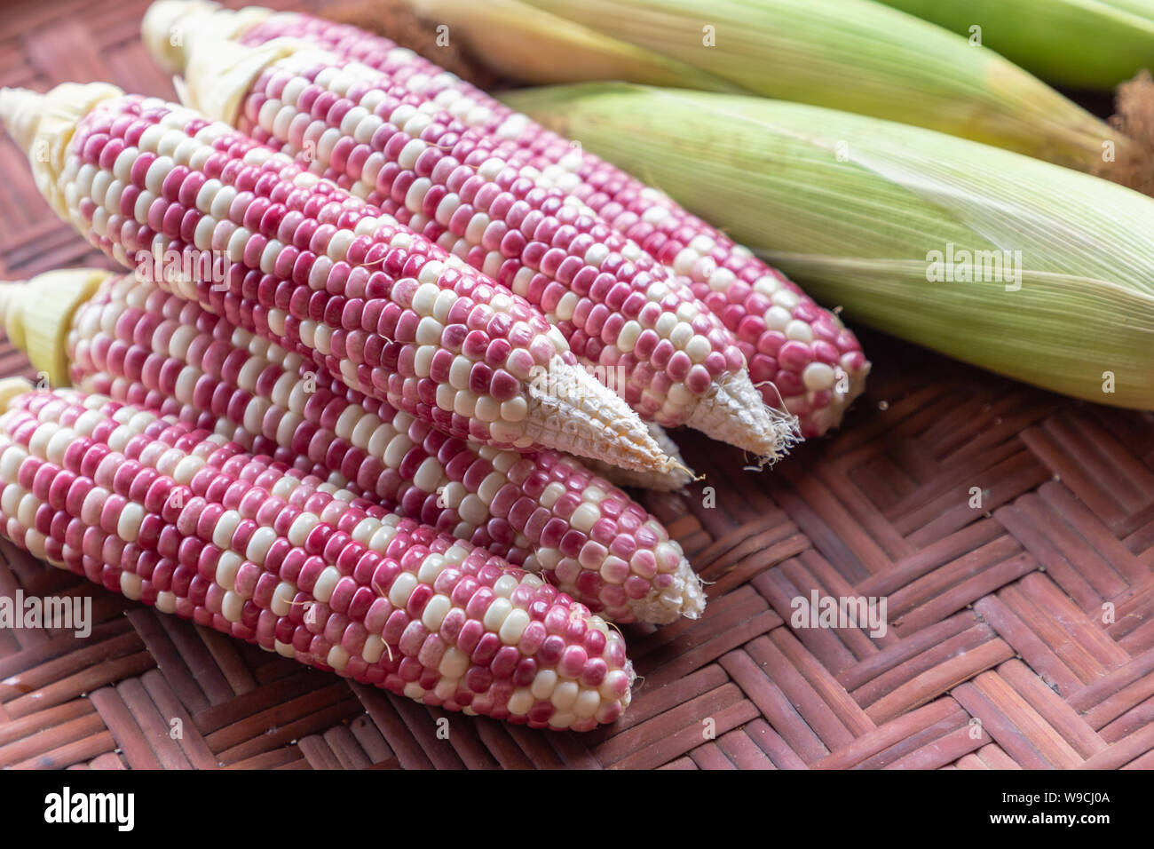 Colorful small ears waxy corns with silk, corn leaf on bamboo weave background for food and drink design. Stock Photo