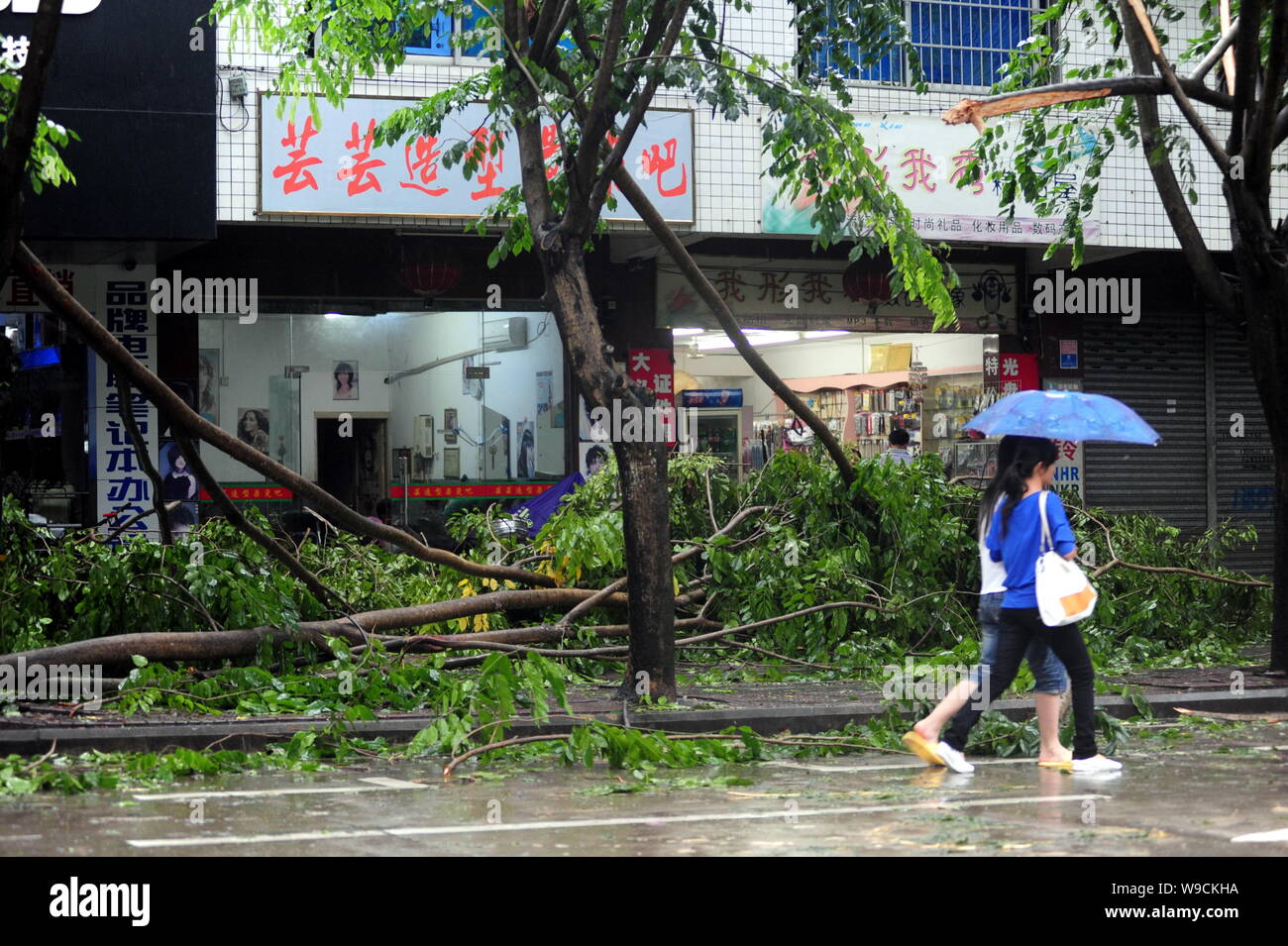 Young Chinese girls walk past trees blown down by strong winds caused by Tropical Storm Parma in Qionghai city, south Chinas Hainan province, Monday, Stock Photo