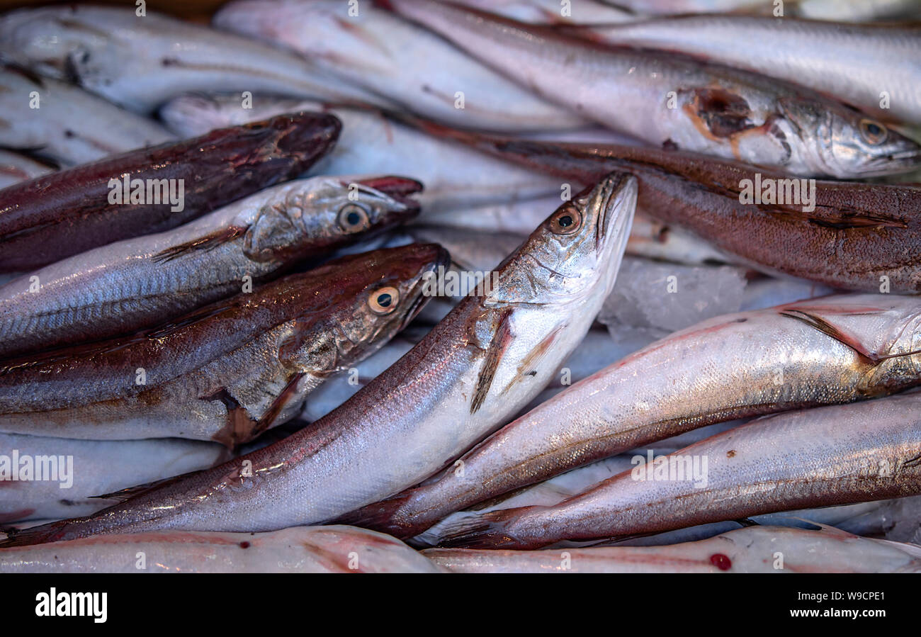 anchovy and whiting on fisherman's counter Stock Photo