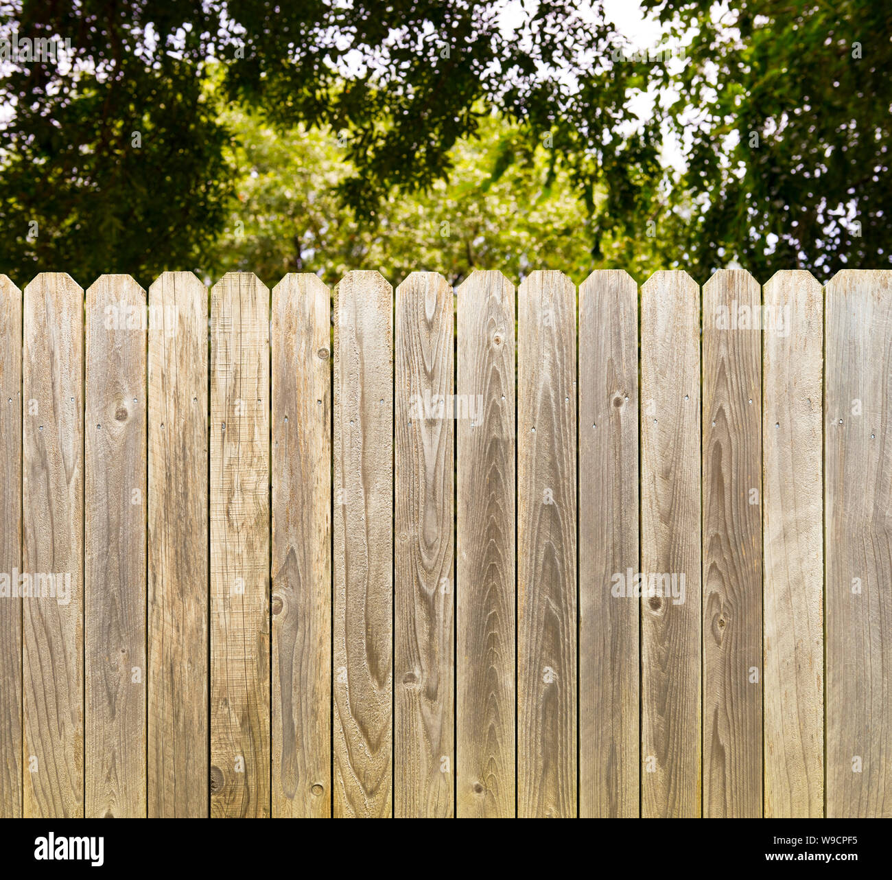 Privacy and security provided by rustic whitewashed wood fence with