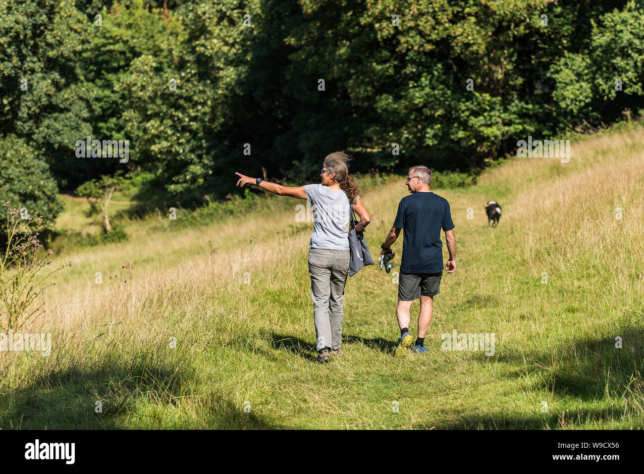 Dog walkers walking their dog through a meadow in the Somerset countryside. Stock Photo