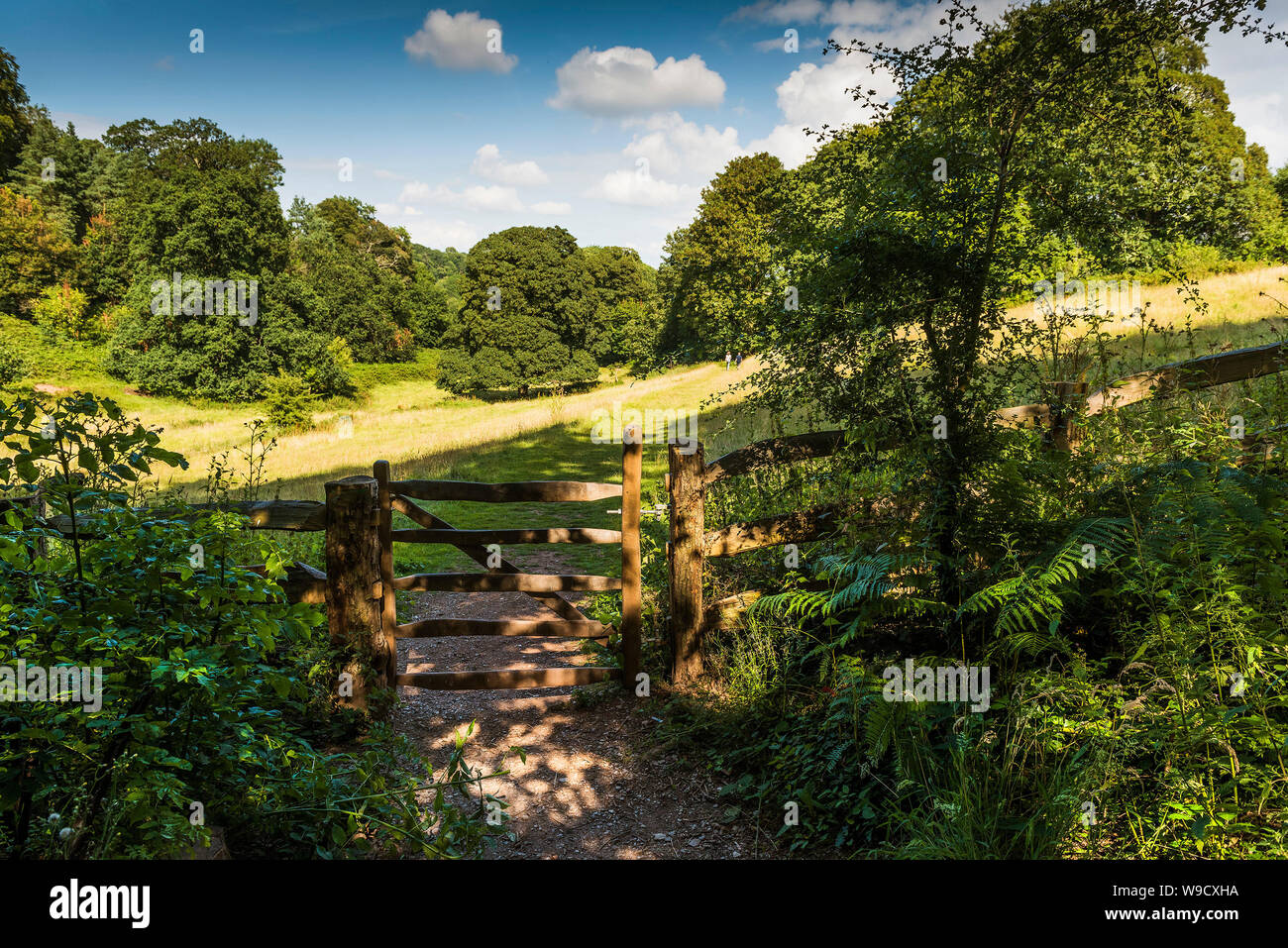 Dappled sunlight over a rustic wooden gate in a wooden fence on the edge of a meadow in the Quantock Hills in Somerset. Stock Photo