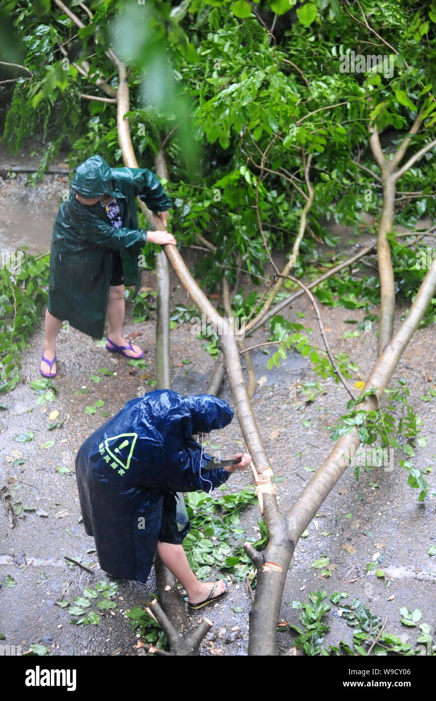 Chinese residents try to remove a tree blown down by strong winds caused by Typhoon Parma in Qionghai city, south Chinas Hainan province, Monday, 12 O Stock Photo