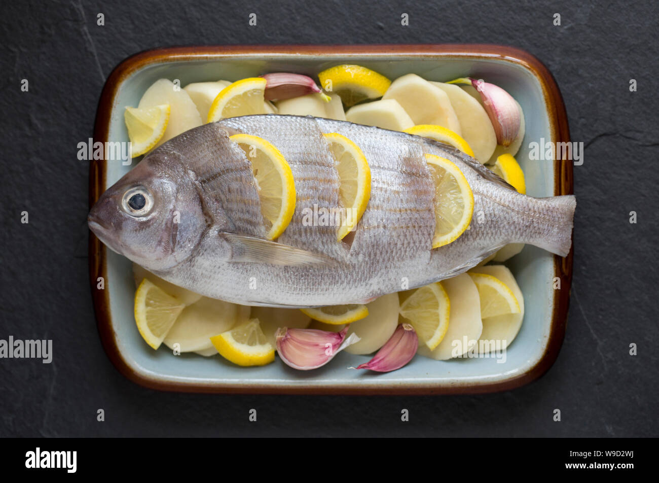 A raw, uncooked Black Bream, Spondyliosoma cantharus, that has been prepared to be cooked in a halogen oven. It has been placed on a bed of sliced pot Stock Photo