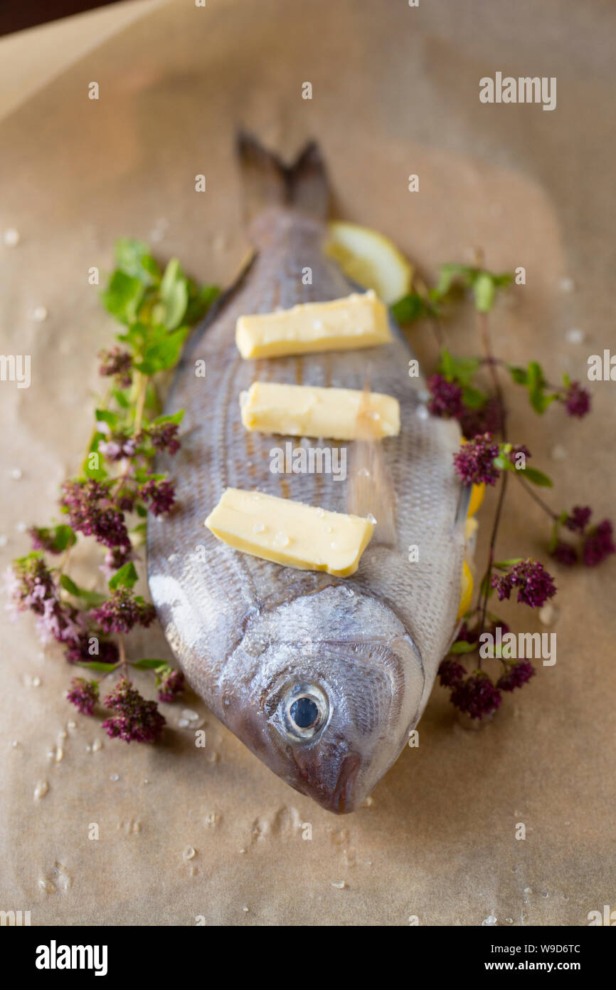 A raw, uncooked Black Bream, Spondyliosoma cantharus, that has been prepared to be cooked in a halogen oven en papillote. It has been placed on baking Stock Photo