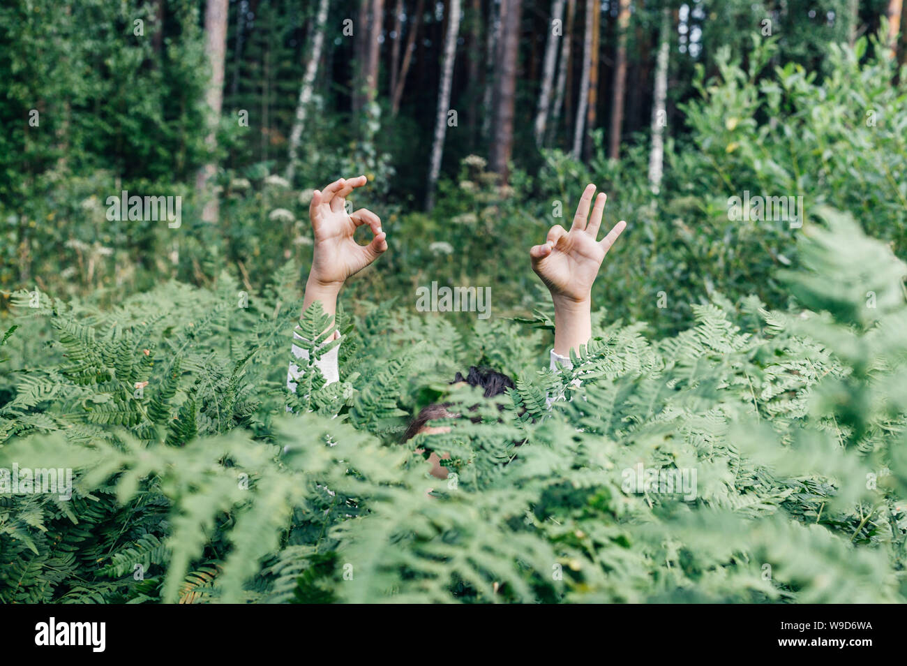A little girl in the high fern shows OK with her hands. Children behavior, get lost in the forest concept. Stock Photo