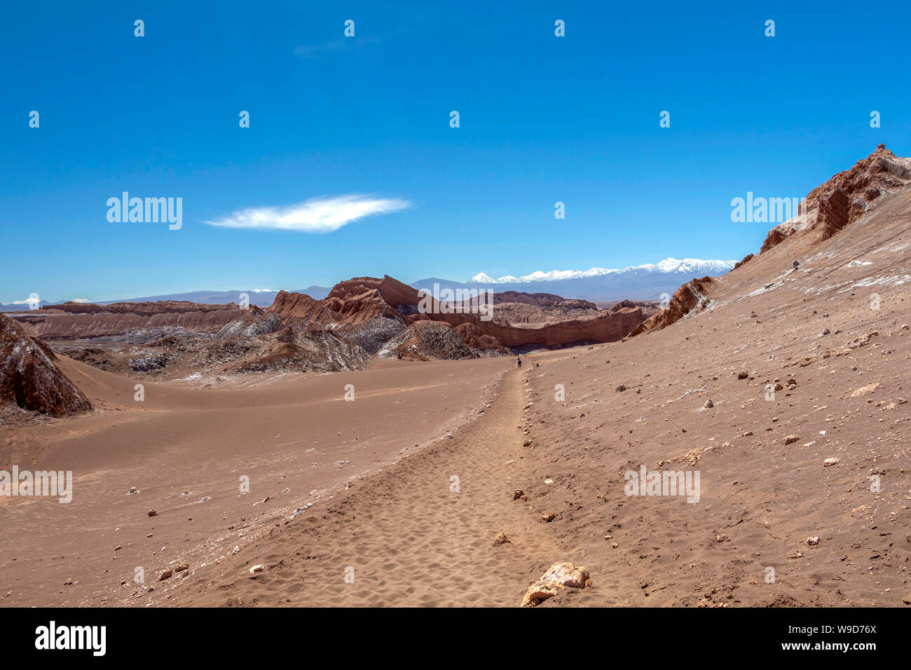 Arid landscape in extreme dry desert of Atacama : Moonlike landscape of 