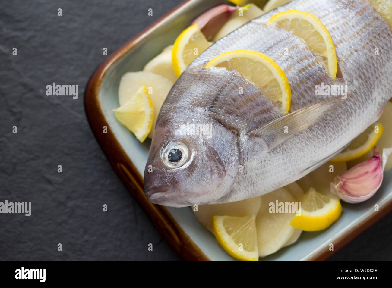 A raw, uncooked Black Bream, Spondyliosoma cantharus, that has been prepared to be cooked in a halogen oven. It has been placed on a bed of sliced pot Stock Photo
