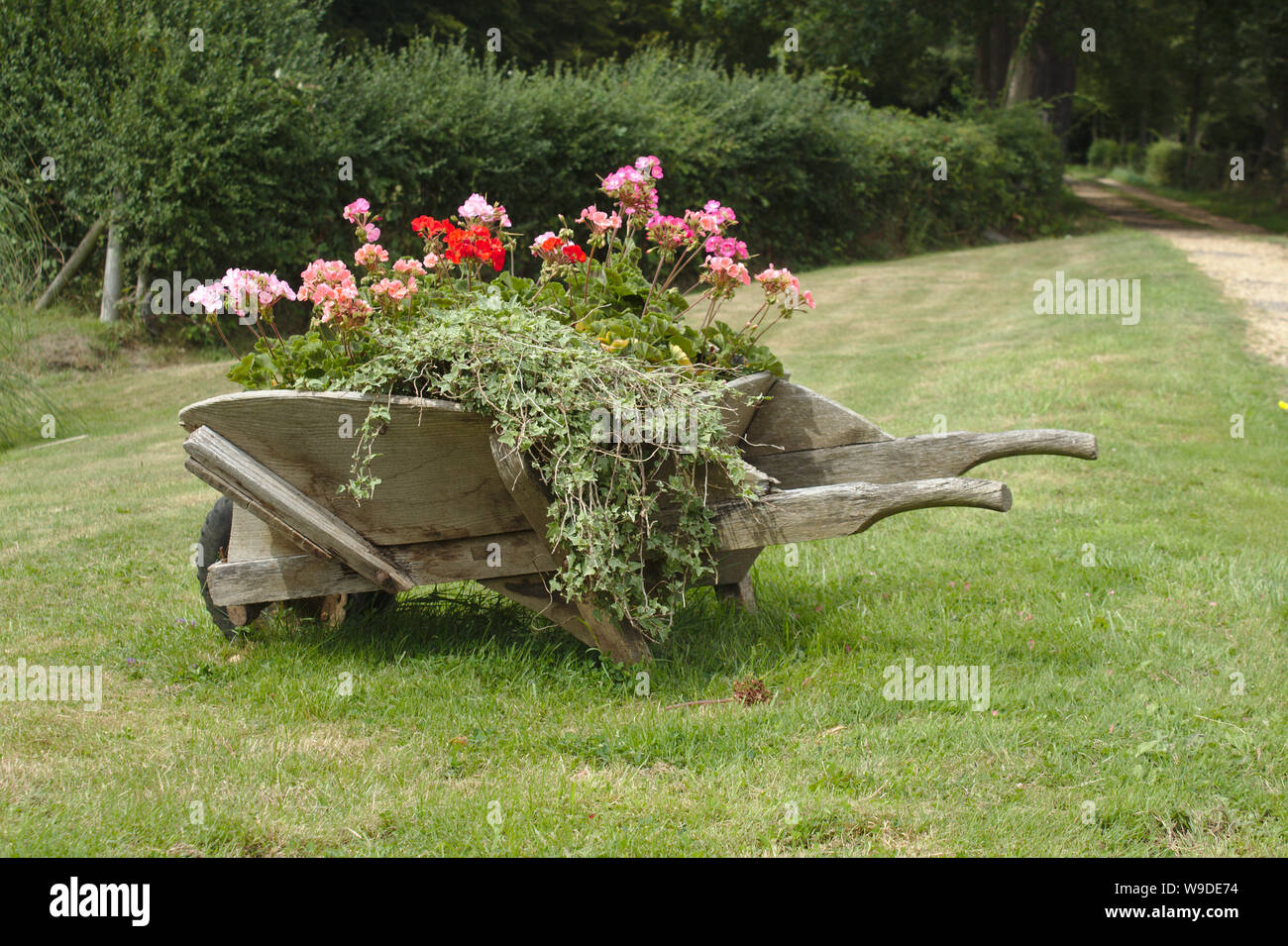 Wheelbarrow with flowers Stock Photo Alamy