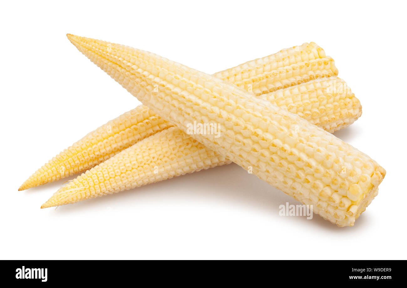 baby corn path isolated on white Stock Photo